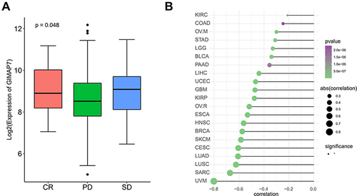 Figure 9 The association of GIMAP7 expression with immune checkpoint blockade (ICB) response and Tumour Immune Dysfunction and Exclusion (TIDE) scores. (A) The association between GIMAP7 expression and ICB response. Data from the immunotherapy cohort IMvigor210, showing complete response (CR), progressive disease (PD) and stable disease (SD). (B) The association between GIMAP7 expression and TIDE score. The larger the point the larger the absolute correlation coefficient value; the colours indicate P values, whereas dots indicate P < 0.05.