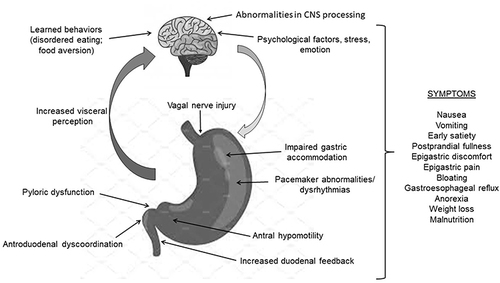 Figure 1 Pathophysiologic mechanisms involved in the generation of gastroparesis symptoms.