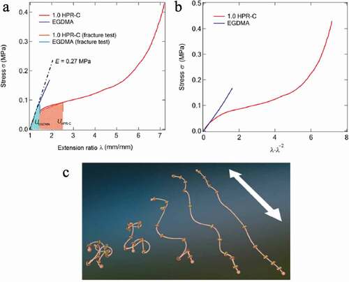 Figure 17. (a) Stress–strain curves of two elastomers with different crosslinking agents shown in Figure 16b, (b) the figure in which the horizontal axis in a) is changed to λ − λ−2. (c) Conceptual diagram showing changes in polyrotaxane conformation based on SAXS results observed during uniaxial stretching of an elastomer prepared using the polyrotaxane crosslinking agent (reproduced with permission from ASSS)