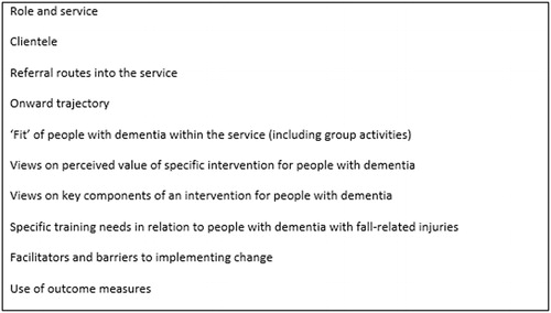 Figure 3. Topic guide for interviews and focus groups with professionals.