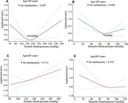 Figure 4 Restricted cubic spline plots of the association between blood pressure and all-cause mortality in different age groups. (A) SBP: age > 65 years; (B) DBP: age > 65 years; (C) SBP: age ≤ 65 years; (D) DBP: age ≤ 65 years.