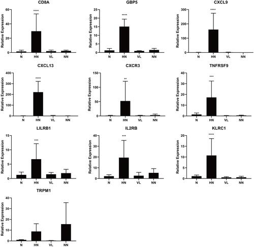 Figure 8 Validation of DEGs by RT-qPCR. Comparing to normal control (n = 4), VL (n = 4) and NN (n = 4), the mRNA expression levels of 9 identified genes were elevated in HN (n = 4). ****P < 0.0001, ***P < 0.001, **P < 0.01.