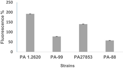 Figure 4 Outer membrane permeability of original and mutant strains.