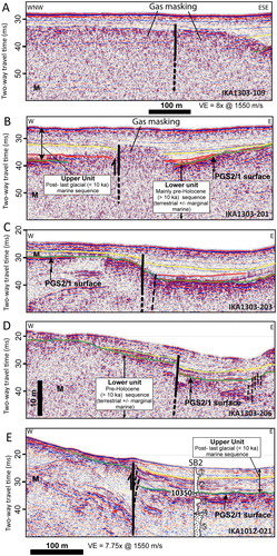 Figure 13. Boomer seismic profiles across the Evan Bay Fault, Wellington Harbour. Refer to Figure 12 for line locations. The bold black line is the primary trace of the fault, dashed where inferred. Coloured reflections are as on Figures 3, 4, 8 and 10. M denotes the seabed multiple. Part E displays the lithological log of borehole SB2 (Lewis and Mildenhall Citation1985), as defined by (1) mud, (2) laminated sandy mud, (3) carbonaceous muds, sands and gravels, (4) peat, and (5) shelly sands. Label 10350 alongside the log is a radiocarbon age (yr BP) from Lewis and Mildenhall (Citation1985).