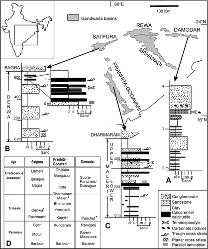 FIGURE 1 Major Gondwana basins of peninsular India and representative vertical lithologs of A, Early Triassic Panchet Formation showing trematosaurid-bearing horizon; B, Middle Triassic Denwa Formation showing paracyclotosaurid-bearing horizon; C, Late Triassic Maleri Formation showing chigutisaurid-bearing horizon; D, Gondwana stratigraphy of the basins (after CitationKutty et al., 1987; CitationChakraborty et al., 2003). Fossil-bearing horizons are marked by asterisks. Inset shows the relative positions of the Gondwana outcrops within India. For the vertical lithologs, the x axis denotes grain size ranging from clay (cl) and silt (s) to various sand sizes such as fine (f), medium (m), coarse (c), and pebbly (p); the y axis denotes height in meters.