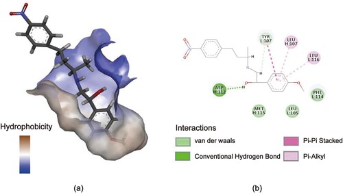 Figure 3. Molecular docking diagram of PEAA and 3E2. (a) Antibody binding pocket with hydrophobicity. (a)The 2D views of interaction between PEAA and key amino acid residues.