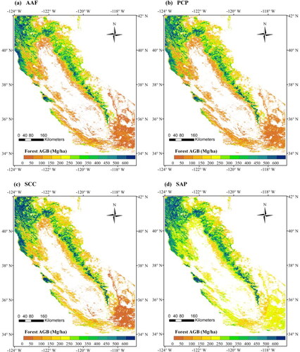 Figure 6. The spatial distribution of the forest AGB in 2013 estimated by the AAF, SCC, PCP, and SAP methods and the XGBoost algorithm based on the SR–CH data.