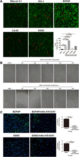 Figure 2 Continued.