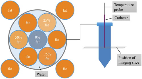 Figure 9. Schematic of the home-made phantom used. The outer four fat vials were used to correct the B0 drift, the center vial (0% fat) was used for the MRT analysis.