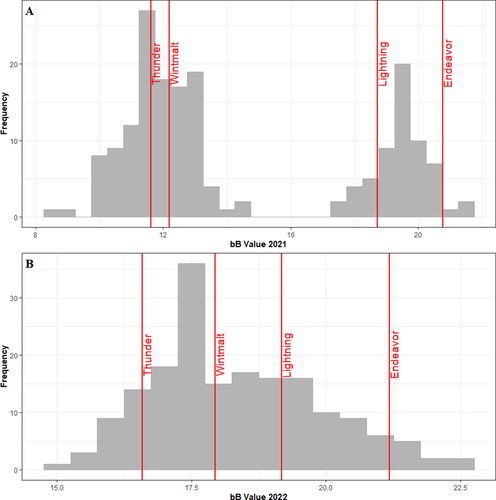 Figure 2. Distributions of the bB colorimeter value across all genotypes of the Cycle 5 Panel in the 2021 harvest season (A) and the 2022 harvest season (B). Check genotypes are indicated and labeled in red.
