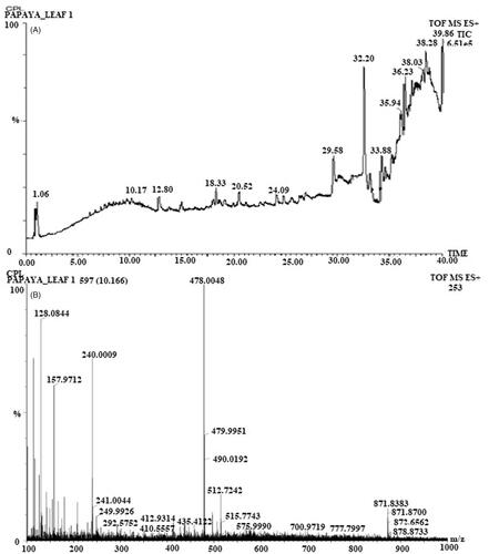 Figure 4. UPLC chromatogram of C. papaya leaf (A), mass spectra of C. papaya leaf aqueous extract at 320 nm in ESI+ mode (B).