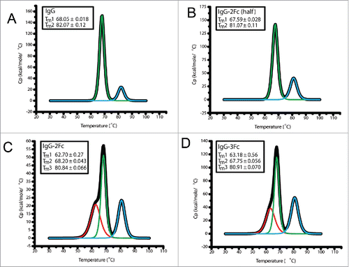 Figure 5. Differential scanning calorimetry (DSC) analysis of the thermal stability of 6F6 IgG Fc variants. DSC profiles of IgG1 (A), IgG-2Fc-half (B), IgG-2Fc (C) and IgG-3Fc (D) are presented.