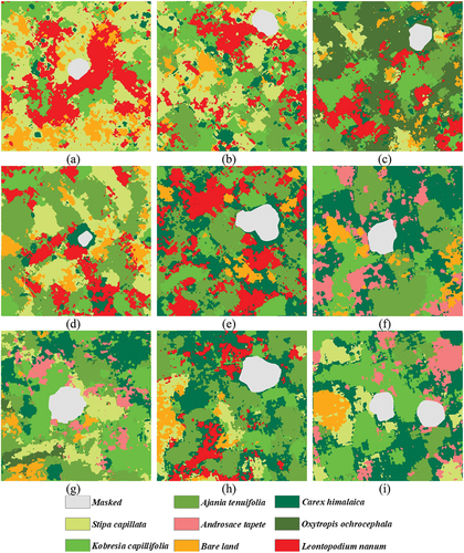 Figure 8. Classification map of the INWS. (a): classification result for plot 13. (b): classification result for plot 15. (c): classification for plot 22. (d) Classification result for plot 26. (e) Classification for plot 31. (f) Classification for plot 34. (g) Classification for plot 36. (h) Classification for plot 44. (i) Classification for plot 51.