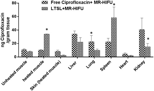 Figure 7. Biodistribution of ciprofloxacin in rats following treatment with ciprofloxacin + MR-HIFU or LTSL + MR-HIFU at a dose of 10 mg/kg administered i.v. Data are shown as mean ciprofloxacin concentration in the indicated tissues with standard error of mean (n = 3). *Free ciprofloxacin versus LTSL, p < 0.05, Tukey’s multiple comparison).