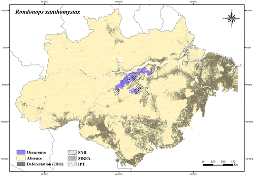 Figure 64. Occurrence area and records of Rondonops xanthomystax in the Brazilian Amazonia, showing the overlap with protected and deforested areas.