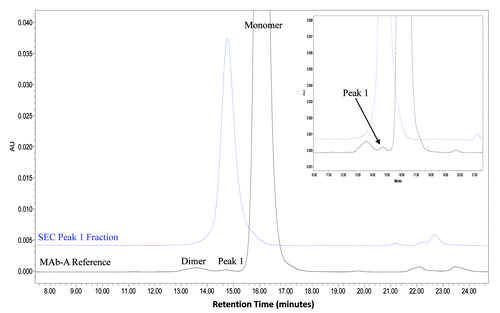 Figure 3. Overlaid chromatograms of MAb-A reference material and a purified SEC Peak 1 fraction shown in full scale and expanded scale in insert.