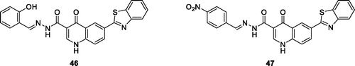 Figure 28. Hydroxybenzylidine containing quinolone benzothiazole derivative 46 and the nitrobenzylidene quinolone derivative 47.