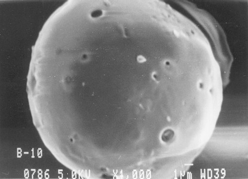 FIG. 4 Scanning electron micrograph of ketorolac tromethamine-loaded PCL: PLA microspheres.