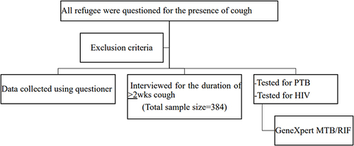 Figure 2 Schematic illustration of the sampling techniques and laboratory methods.