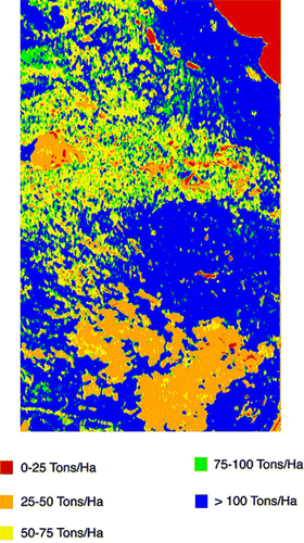 Figure 3.  Biomass calculated using SIR-C/X-SAR in Raco, Michigan.