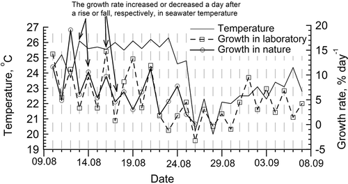 Figs 8. Temperature fluctuations of seawater in the upper sublittoral zone of Amurski Bay (Japan Sea) in nature in August–September 2001 and the growth rate of Ulva lactuca in nature and the laboratory. The growth rate increases on the day after the seawater temperature rises and vice versa, both in nature and in the laboratory. A great drop in temperature on 25–26 August was caused by a typhoon.