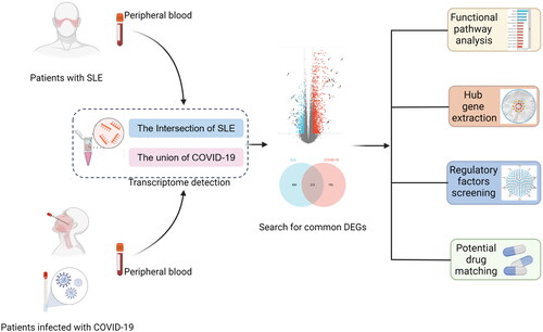 Figure 1. Flow chart of key steps in this study.