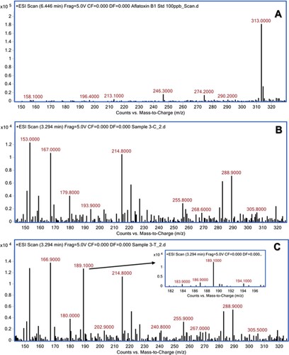 Figure 2. Mass spectra of AFB1 after treatment with aqueous extract of H. enneaspermus. (A) untreated AFB1 (control); (B) H. enneaspermus extract alone; (C) AFB1 after treatment with H. enneaspermus extract.