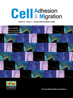 Cover image for Cell Adhesion & Migration, Volume 3, Issue 1, 2009
