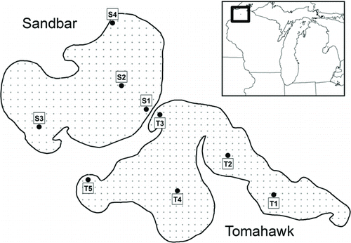 Figure 1 Location of Tomahawk and Sandbar lakes, Bayfield County, WI. Aquatic plant sampling grid points are shown in gray with point spacing of 35 and 40 m, respectively. 2,4-D herbicide concentration sampling locations on both lakes are labeled.