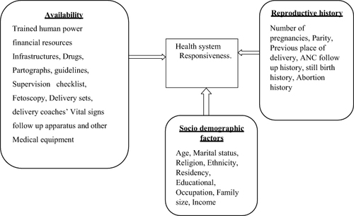 Figure 1 Newly developed Conceptual Framework for delivery service Responsiveness.