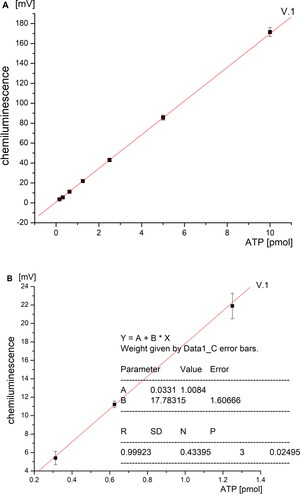 Figure 1. Chemiluminescent calibration curve in the range 10, 5, 2.5, 1.25, 0.625, 0.3125 pmol ATP (A) and 1.25, 0.625, 0.3125 pmol ATP and the calculation of the results according to the linear equation (B).