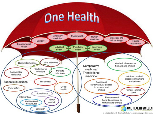 Fig. 1 ‘Umbrella’ depiction of the scope of One Health as developed by ‘One Health Sweden’ in collaboration with the ‘One Health Initiative.’ Available from: www.onehealthinitiative.com/about.php