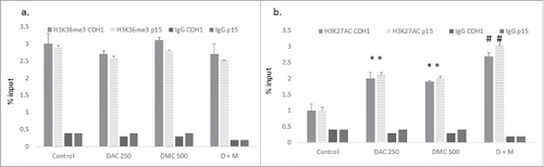 Figure 5. The combination of DAC and DMC increases H3K27 acetylation. ChIP analysis of CEM cells treated with single agents or the combination for 24 h was performed using antibodies against H3K36me3 (a) and H3K27Ac (b) followed by real-time quantitative PCR using primers for p15 and CDH-1. IgG was used as a negative control. DAC 250 indicates 250 nM DAC and DMC 500 indicates 500 nM of DMC. D + M indicates the combination of 250 nM DAC and 500 nM DMC. Data represent the mean ± SD of duplicate ChIP reactions and triplicate PCR reactions. * indicates a significant difference from the control at P < 0.05 and# indicates significant difference from the control and single agents using one way ANOVA followed by Bonferroni post-hoc test.