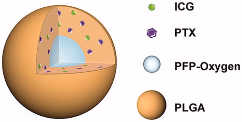 Scheme 1. Schematics illustration of the PIO_NPs. PLGA: poly (DL-lactide-co-glycoclic acid); PFP-oxygen: perfluoro-n-pentane carried oxygen; PTX: paclitaxel; ICG: indocyanine green; PIO_NPs: paclitaxel, indocyanine green and oxygen loaded nanoparticles.