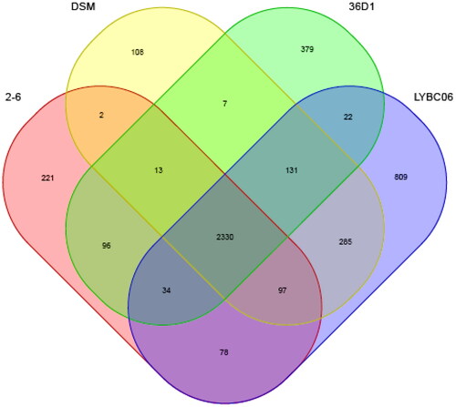 Figure 8. Common genome of four Bacillus coagulans strains. Note: The strains had 2530 common protein coding genes, while LYBC06 train had 809 specific protein coding genes.