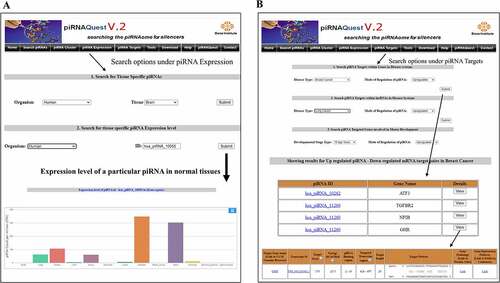 Figure 6. Web interfaces for easy access of piRNAQuest V.2 showing: (a) tissue wise expression values of individual piRNAQuest IDs and the corresponding output and (b) search options and detailed output for piRNA target prediction.