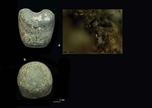 Figure 3. Microwear traces on the butt area of the battle axe: (a) flat, reflective micro-polish, 200x; (b) percussive traces along the circumference of the butt end (photo taken courtesy of Wiltshire Museum, Devizes)