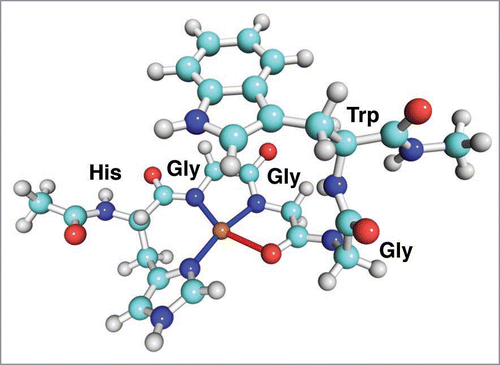 Figure 1 The binding site of the copper ion at high Cu concentration. Copper is shown in gold, oxygens are red, nitrogens blue, hydrogen white and carbons are cyan.
