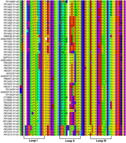 Figure 1. Multiple alignment of non-redundant and mature cytotoxin (CTX) sequences from different Naja sp. (Serpentes, Taxid = 8570). The conserved amino acid sequence of CTX was blasted against NCBI blastp. The three hydrophobic loops were annotated to represent the characteristics of three-finger functional loops in CTX.