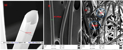 Figure 1. SEM images: (a) kapok fiber, (b) polypropylene fiber, and (c) kapok/polypropylene nonwoven.