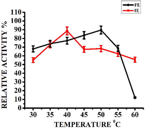 Figure 2. Effect of reaction temperature on relative activity (%) of free α-amylase (FE) and α-amylase immobilized on AFCCLPANIMg composite (IE). Reaction conditions: optimum pH, starch concentration 1% w/v, reaction time 20 min.