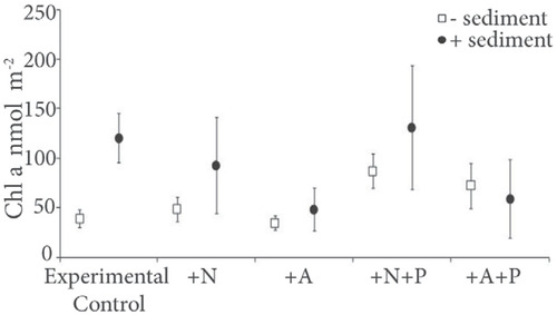 FIGURE 5. Chlorophyll a areal concentrations (nmoles m-2; mean ± 1 SD) of the phytoplankton sampled at 72 h after nutrient additions for the experimental control and the four nutrient treatments: +A treatment, +A+P treatment, +N treatment, and +N+P treatment. Open squares represent the microcosms without sediment (-sediment category), solid black circles represent the microcosms with surficial sediment and associated benthic biofilm from Left Pond (+sediment category). Three independent replicates were run for each nutrient amendment and control.