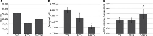 Figure 4 Osteoblast-like cell adhesion (A), proliferation (B), and differentiation (C) on Ti-PEEK compared to PEEK and TCP surfaces. ALP concentration (ng/mg protein) in cell lysates.