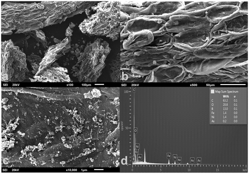 Figure 1. SEM-EDX spectrums of the adsorbents. SEM images of the adsorbents at: (a) ×100 magnification, (b) ×500 magnification, (c) ×10,000 magnification, and (d) EDX spectrum of the adsorbent after the arsenic adsorption.