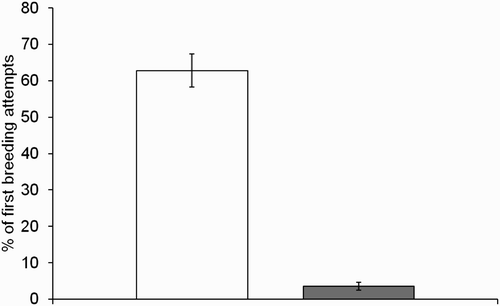 Figure 1. The percentage (± 1 SE) of 151 first breeding attempts made by 108 individually marked females that resulted in second (unfilled bars) and third (filled bars) breeding attempts, during 1999–2011.