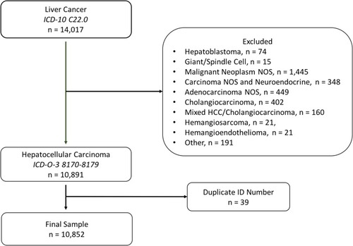 Figure 1 Study flow diagram.