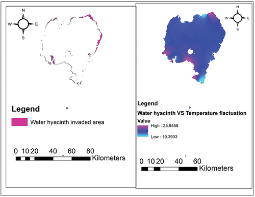 Figure 6. Effect of temperature fluctuation on water hyacinth invasion.