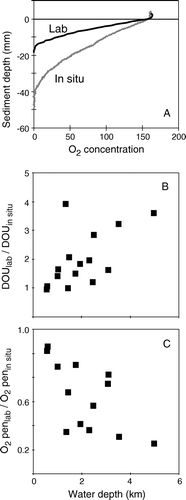 Figure 4.  (A) O2 microprofiles measured in situ and in a recovered sediment core from 3500 m depth. (B, C) The ratio between in situ and laboratory-obtained data versus station depth as compiled from three different studies (Glud et al. Citation1994a, Citation1999a; Wenzhöfer & Glud Citation2002).