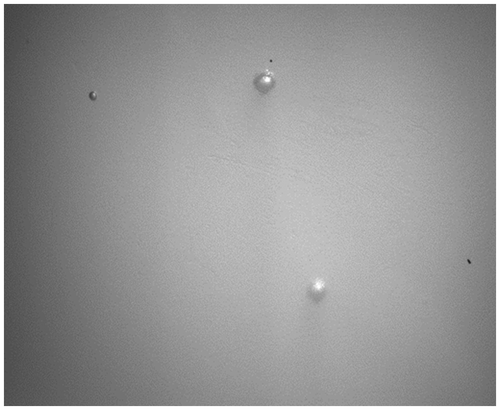 Figure 2. Optical image of the bubble defects in the polyurethane riser stiffener samples. The bubbles were approximately 5–7 mm in diameter, and of unknown depth into the sample.