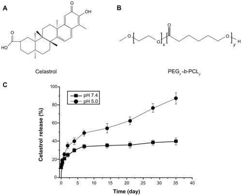Figure 1 The chemical structures of (A) celastrol and (B) PEG-b-PCL nanopolymeric micelles. (C) In vitro drug release profiles of celastrol from PEG-b-PCL micelles (celastrol content: 7.36%) in phosphate buffer solutions (pH 7.4) and sodium acetate buffered solution (pH 5.0) at 37°C.Notes: A typical two-phase-release profile contained a rapid release in the first stage followed by a sustained and slow release over a prolonged time up to several weeks in both solutions. Furthermore, celastrol release at pH 5.0 was significantly faster than that at pH 7.4. The data are presented as the means ± standard deviation (n = 3).Abbreviation: PEG-b-PCL, poly(ethylene glycol)-block-poly(ɛ-caprolactone).